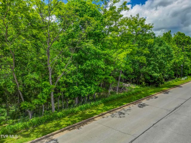 612 Harbor Point Drive, Johnson City, TN 37615