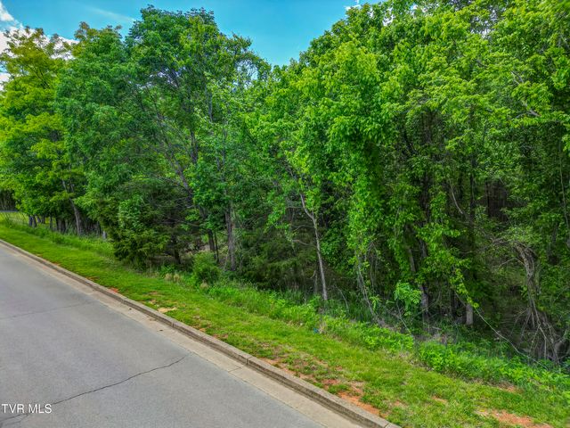 612 Harbor Point Drive, Johnson City, TN 37615