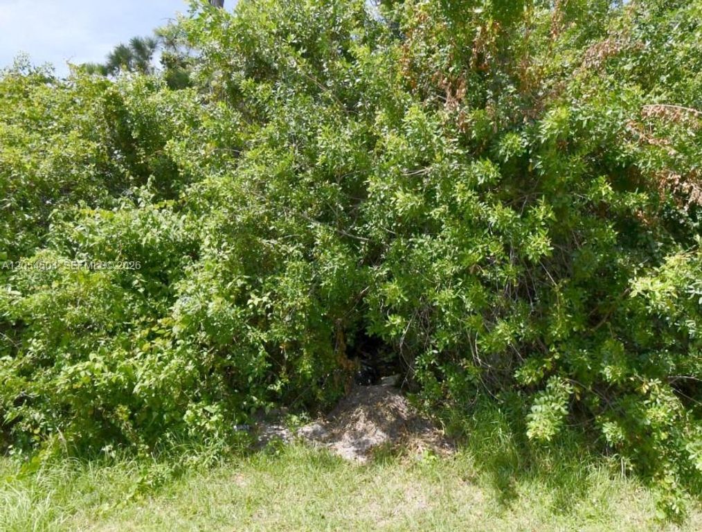 1241 SW IDOL, Port St. Lucie, FL 34953