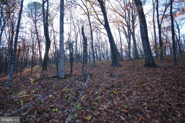 LOT 67 MILL MOUNTAIN RD, Romney, WV 26757