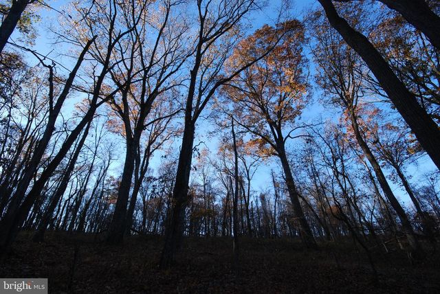 LOT 67 MILL MOUNTAIN RD, Romney, WV 26757