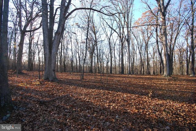 LOT 67 MILL MOUNTAIN RD, Romney, WV 26757