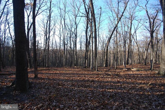 LOT 67 MILL MOUNTAIN RD, Romney, WV 26757
