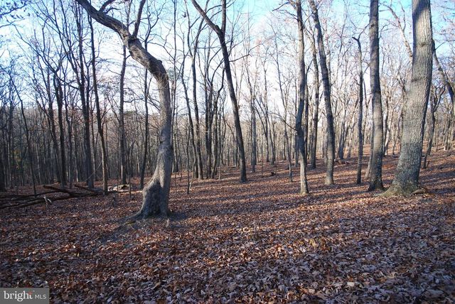 LOT 67 MILL MOUNTAIN RD, Romney, WV 26757