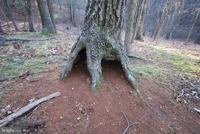 LOT 67 MILL MOUNTAIN RD, Romney, WV 26757