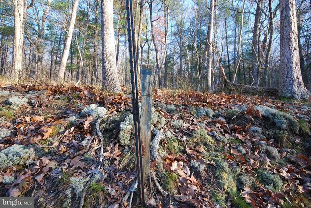 LOT 67 MILL MOUNTAIN RD, Romney, WV 26757