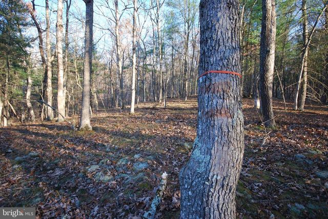 LOT 67 MILL MOUNTAIN RD, Romney, WV 26757