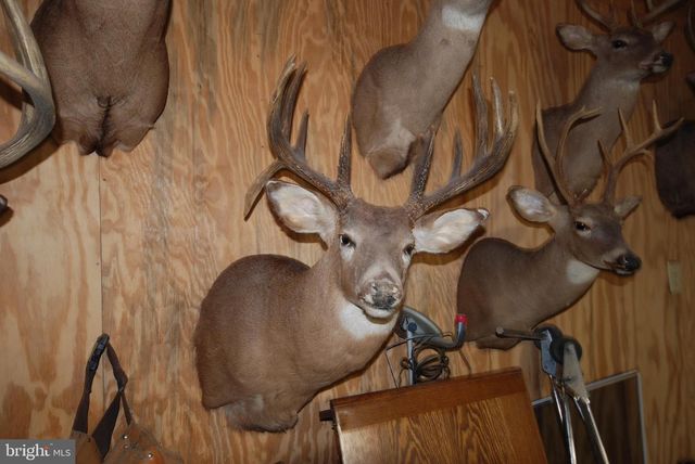 LOT 67 MILL MOUNTAIN RD, Romney, WV 26757