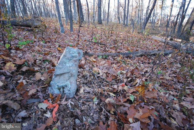 LOT 67 MILL MOUNTAIN RD, Romney, WV 26757