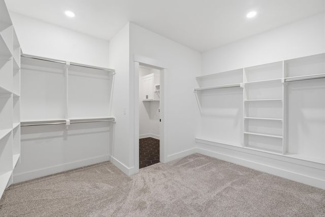 13032 Avilla Hills Cove, Alexander, AR 72002