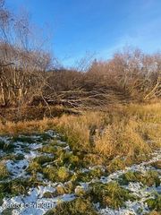 L19 Shelby Kay Street, Homer, AK 99603