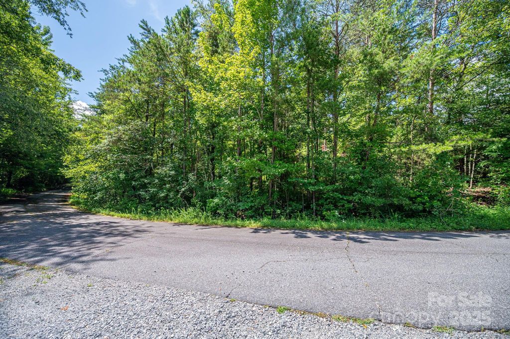 Lot 40 Line Drive, Forest City, NC 28043