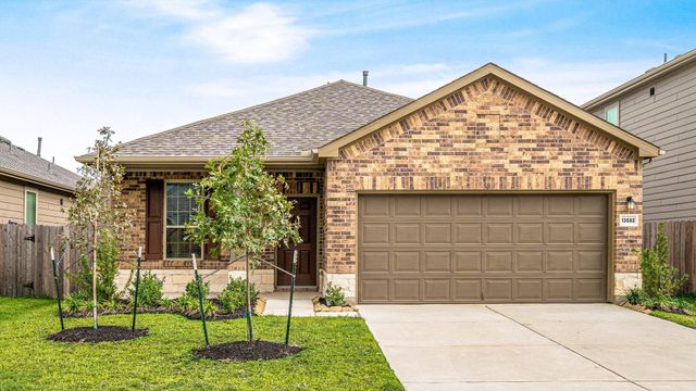 13582 Myrtle Gardens Boulevard, Magnolia, TX 77354