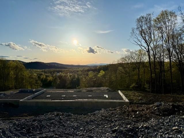 3362 Route 199, Pine Plains, NY 12567