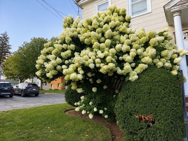 57 Pleasant St. B, Watertown, MA 02472