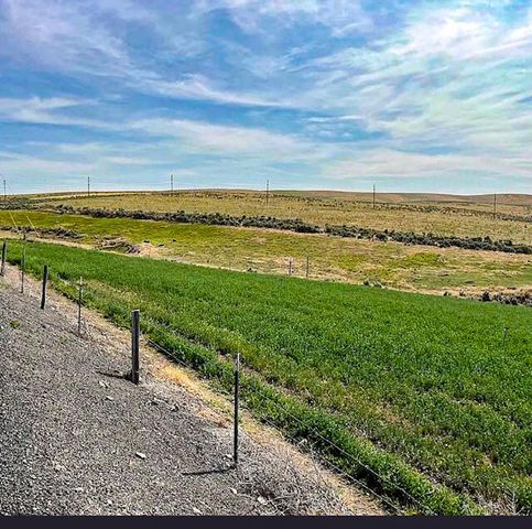 260 N E Street, Lexington, OR 97839