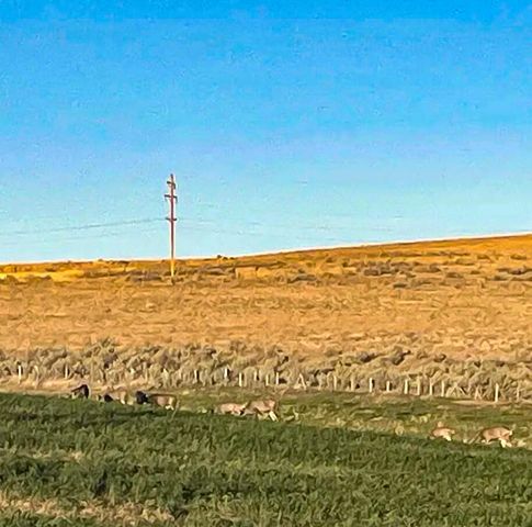 260 N E Street, Lexington, OR 97839