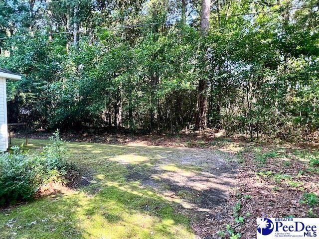 919 Locust Street, Hartsville, SC 29550
