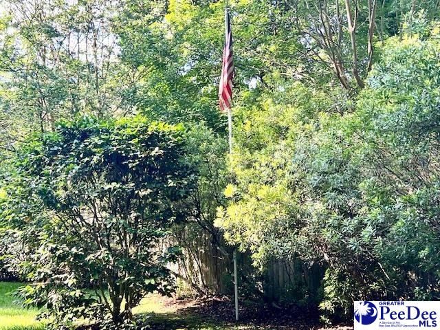 919 Locust Street, Hartsville, SC 29550