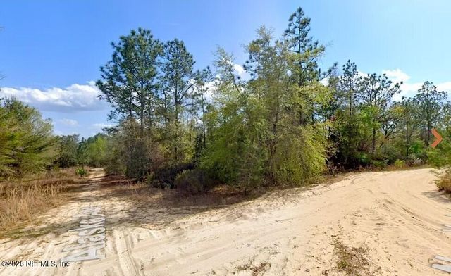 0 ALASKA Avenue, Interlachen, FL 32148