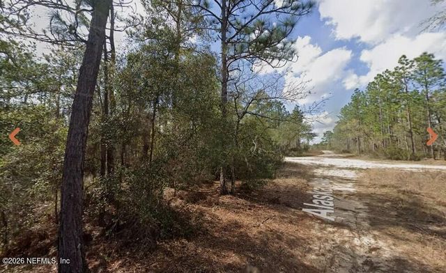 0 ALASKA Avenue, Interlachen, FL 32148