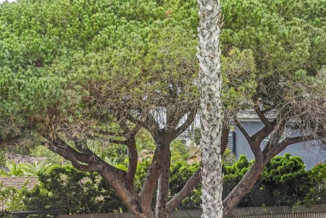 6333 La Jolla Boulevard 277, La Jolla, CA 92037