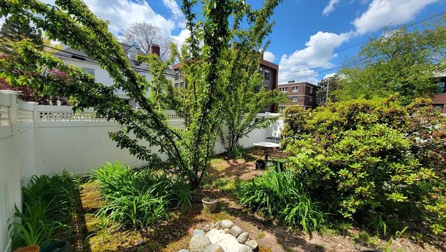 45 Auburn Street 3, Brookline, MA 02446