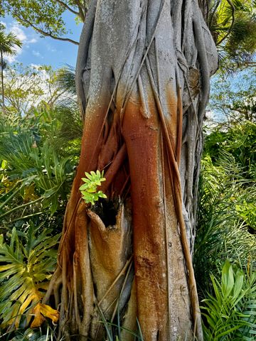 102 Half Moon Circle G2, Hypoluxo, FL 33462