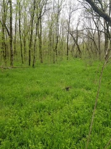 683 HIGHWAY 79, Dover, TN 37058