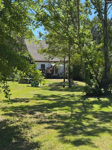 808 Highway 6, Swansea, SC 29160