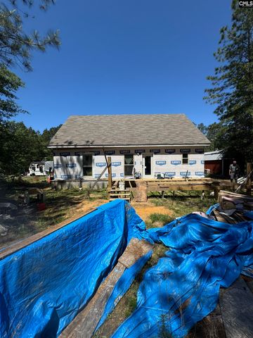 808 Highway 6, Swansea, SC 29160