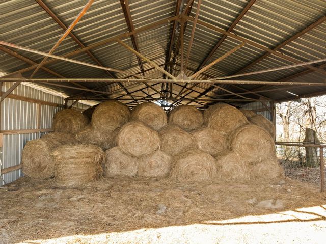 119 Betty Ln., Poplarville, MS 39470