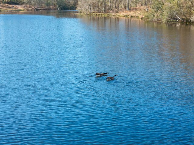 119 Betty Ln., Poplarville, MS 39470