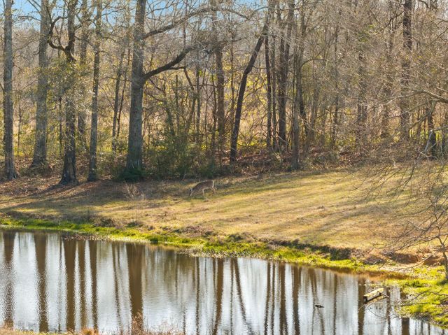 119 Betty Ln., Poplarville, MS 39470