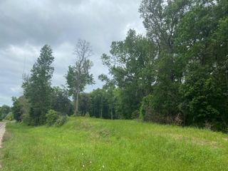 TBD 00 Fm 222 Loop S, Coldspring, TX 77331