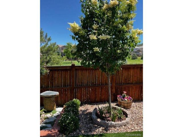 1994 Candleglow St, Castle Rock, CO 80109