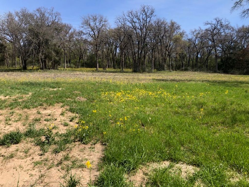 TBD FM 46 North FM 46 Farm to Market Road N, Franklin, TX 77856 — photo 5