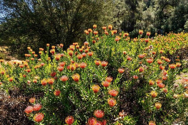7051 Mount Olympus Drive, Fallbrook, CA 92028