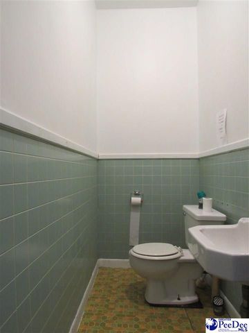 4204 Martin Luther King Jr. HWY, Salters, SC 29556
