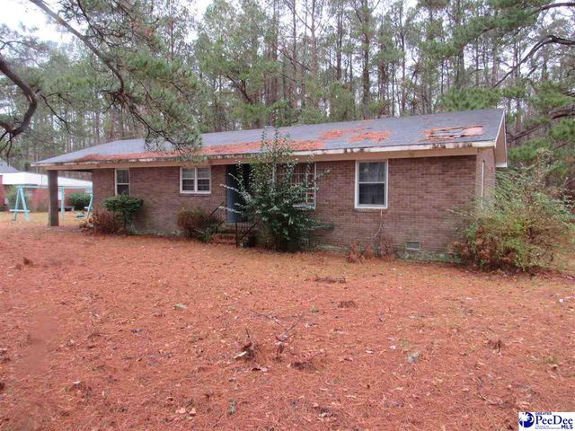 4204 Martin Luther King Jr. HWY, Salters, SC 29556