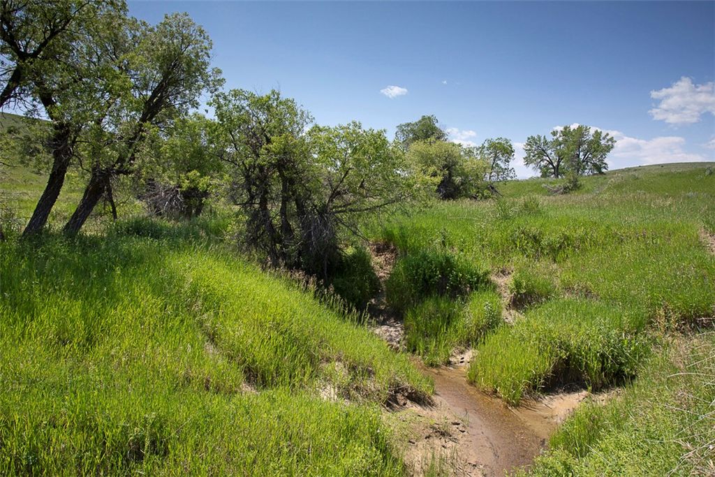 155 acre Elbow Creek Rd, Roberts, MT 59070 photo 1