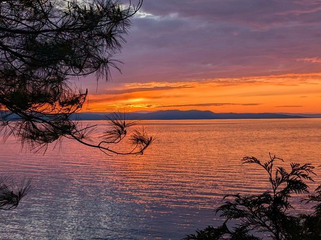 187 Morgan Drive, Shelburne, VT 05482
