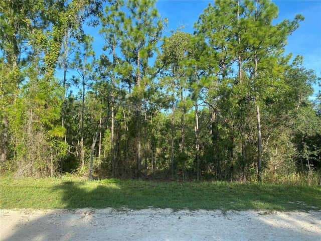 15421 FLEETWOOD ROAD, Weeki Wachee, FL 34614