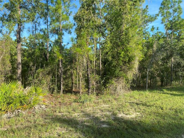 15421 FLEETWOOD ROAD, Weeki Wachee, FL 34614