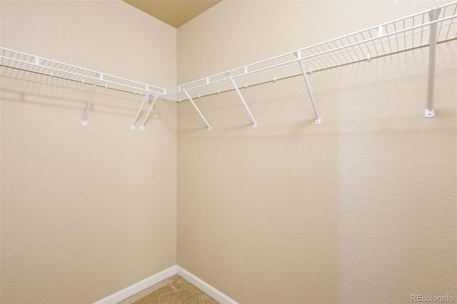 4058 Star View, Colorado Springs, CO 80907