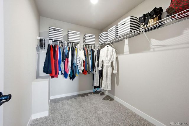 3938 Ryedale Way, Colorado Springs, CO 80922