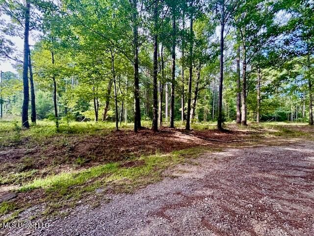 130 Nevels Drive, Florence, MS 39073