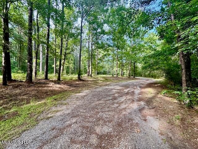 130 Nevels Drive, Florence, MS 39073