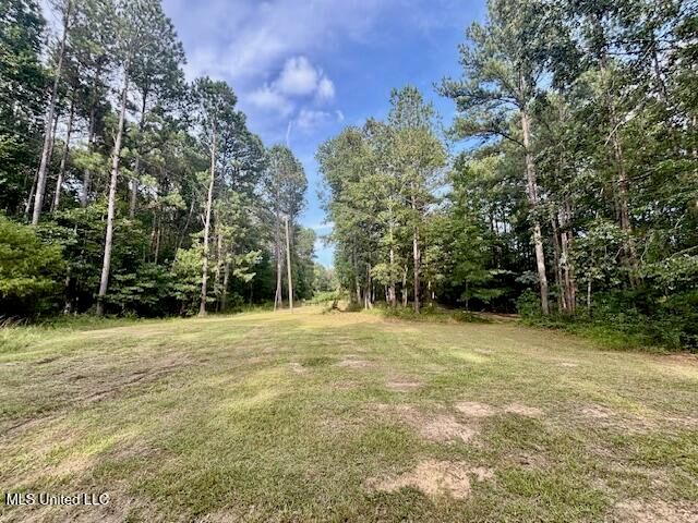 130 Nevels Drive, Florence, MS 39073