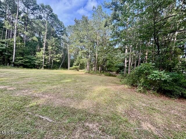 130 Nevels Drive, Florence, MS 39073